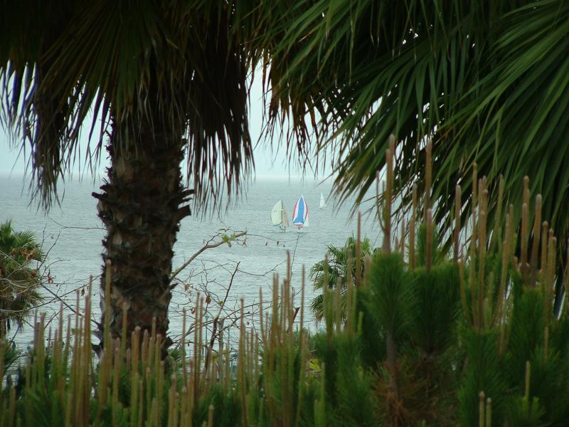 Yachts on King's Harbour - view from our apartment