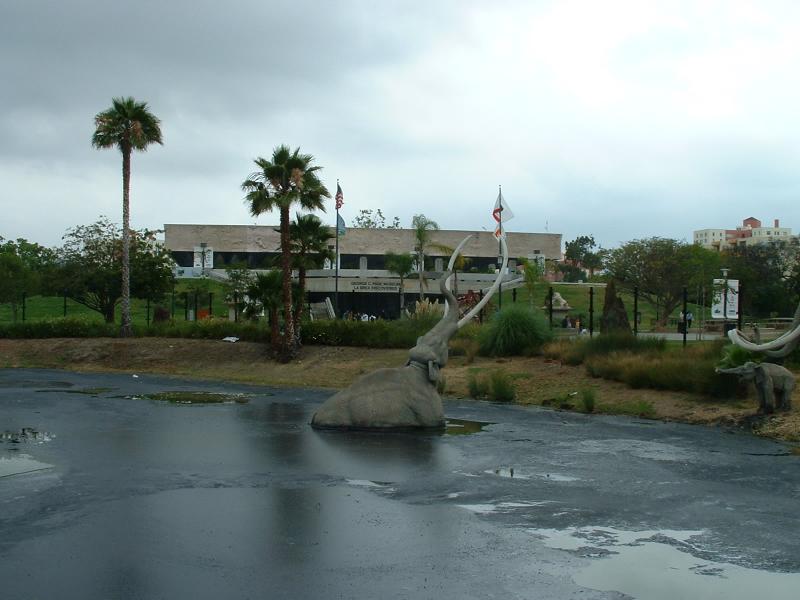 A Mammoth stuck in the La Brea 