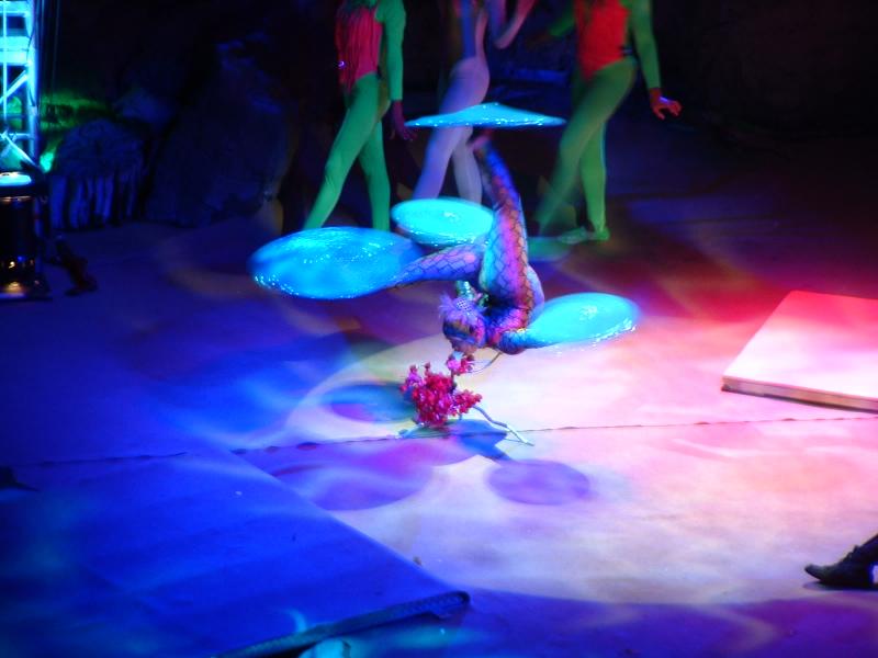 'Jungle Dreams, The Last Orangutan' acrobatic show - San Diego Zoo