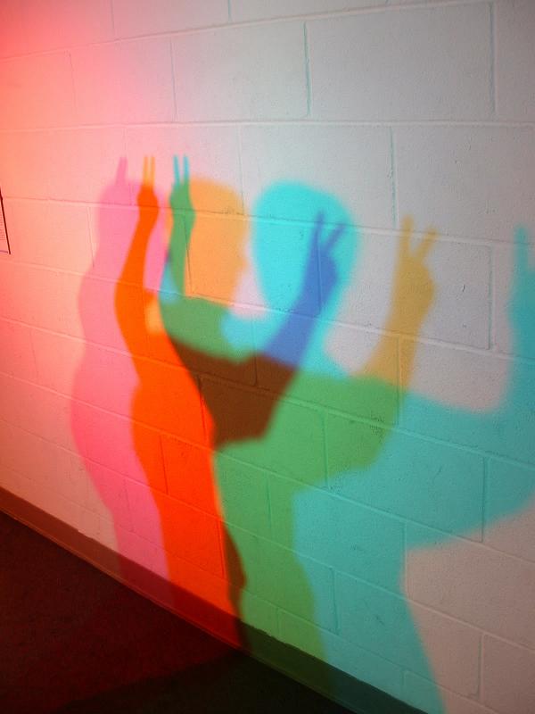 Shadows; one of the exhibits in the Reuben H Fleet Space Theatre & Science Center, Baloba Park