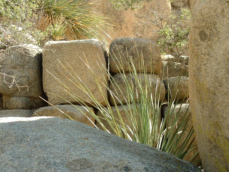 Some natually occuring rocks in Hidden Valley, Joshua Tree National Park