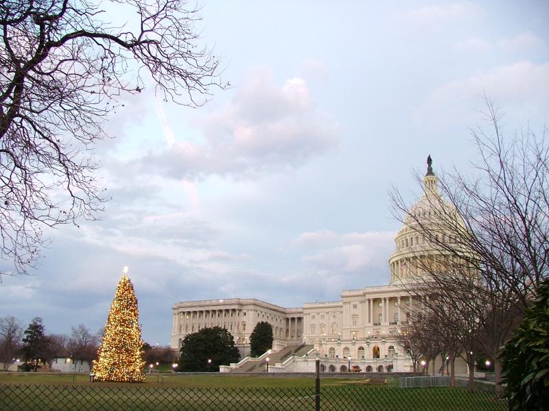 The Capitol Building, with a lit Christmas tree, Washington DC