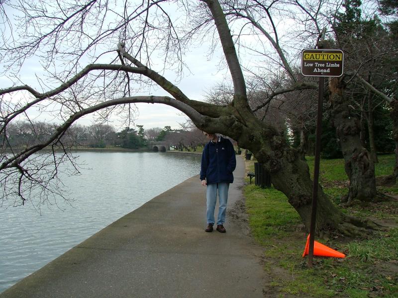Between the FDR and Jefferson Memorials, Washington DC