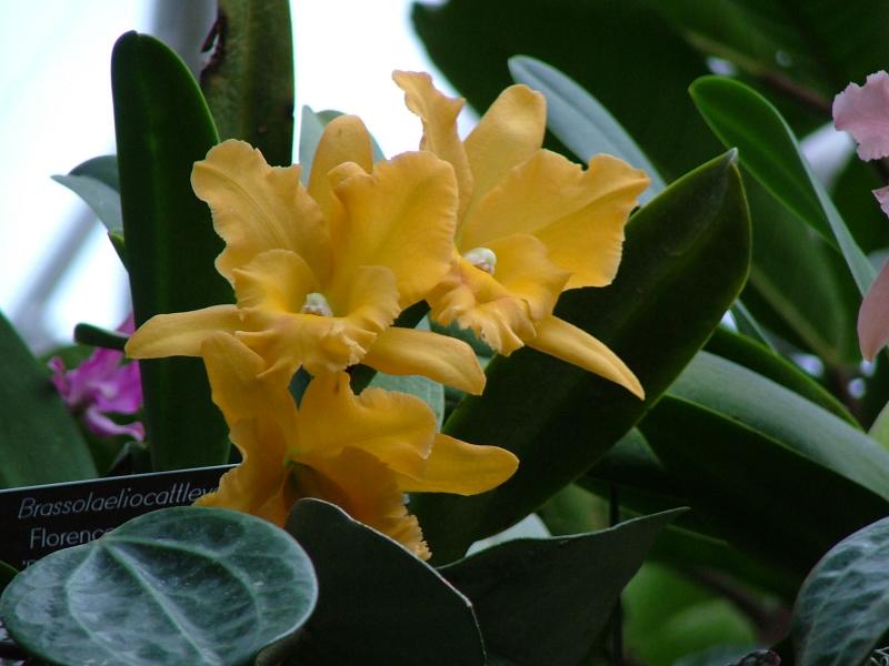 Botanical Gardens, National Mall, Washington DC