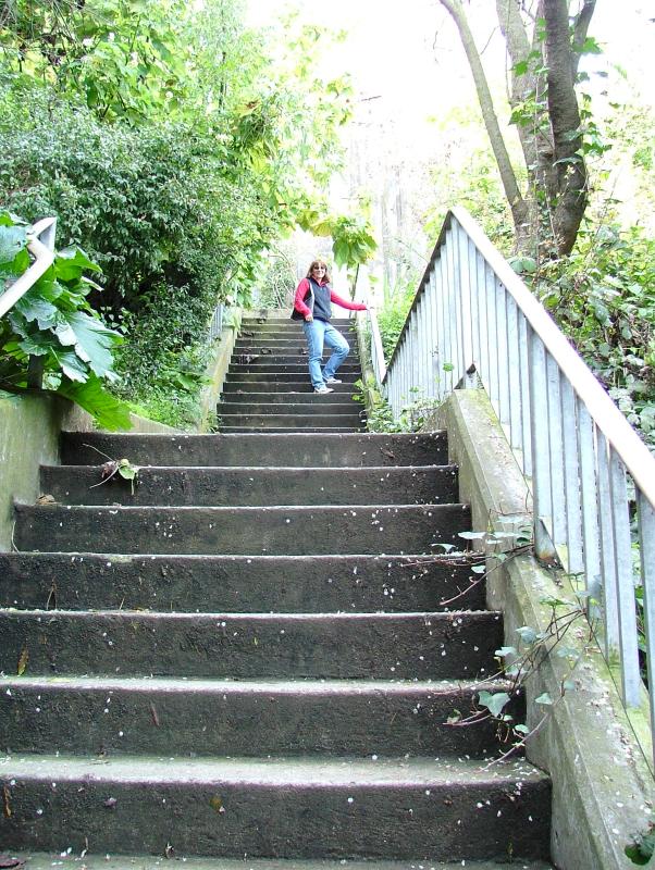Frances on the Filbert Steps, Jo & Frances in San Francisco, California