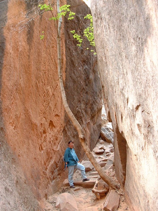 Jo on the way to the Middle Emerald Pools, Zion National Park, Utah