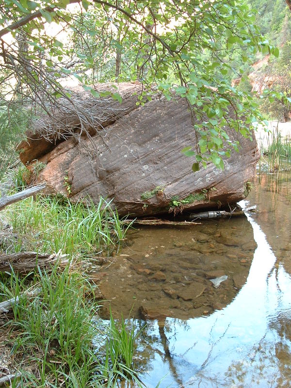 Reflections, Middle Emerald Pool, Zion National Park, Utah