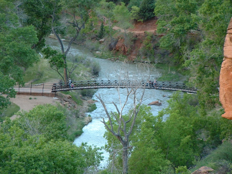 View of The Virgin from Middle Emerald Pool Trail, River Zion National Park, Utah