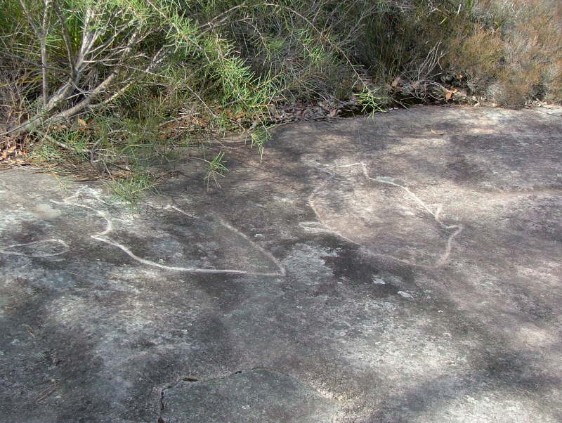 Aboriginal rock engravings, Ku-ring-gai Chase National Park, Sydney