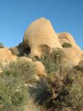 Skull Rock, Joshua Tree National Park