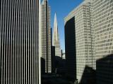 View from the hotel, Jo & Frances in San Francisco, California