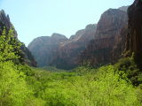 View from Weeping Rock, Zion National Park, Utah