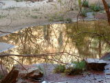 Reflections, Lower Emerald Pool, Zion National Park, Utah Reflections, Lower Emerald Pool, Zion National Park, Utah