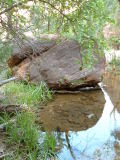 Reflections, Middle Emerald Pool, Zion National Park, Utah