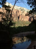 Reflections, Middle Emerald Pool, Zion National Park, Utah